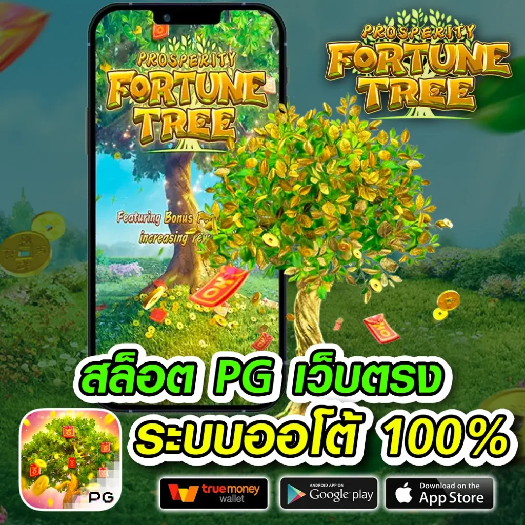 thaisiam bet เว็บสุดฮิต